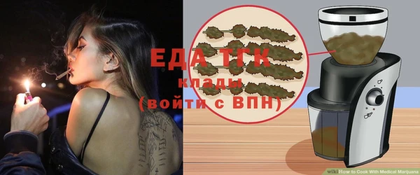 индика Алзамай