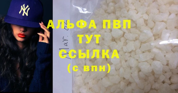 СК Алексин