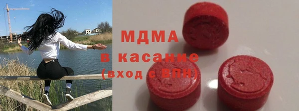 индика Алзамай