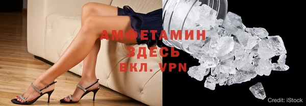 индика Алзамай