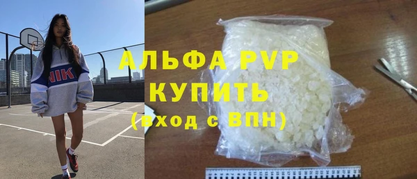 СК Алексин