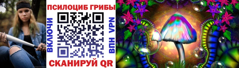 Псилоцибиновые грибы Cubensis  shop как зайти  Галич  где можно купить  