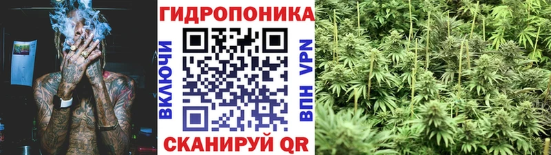 KRAKEN как войти  Галич  Конопля марихуана 